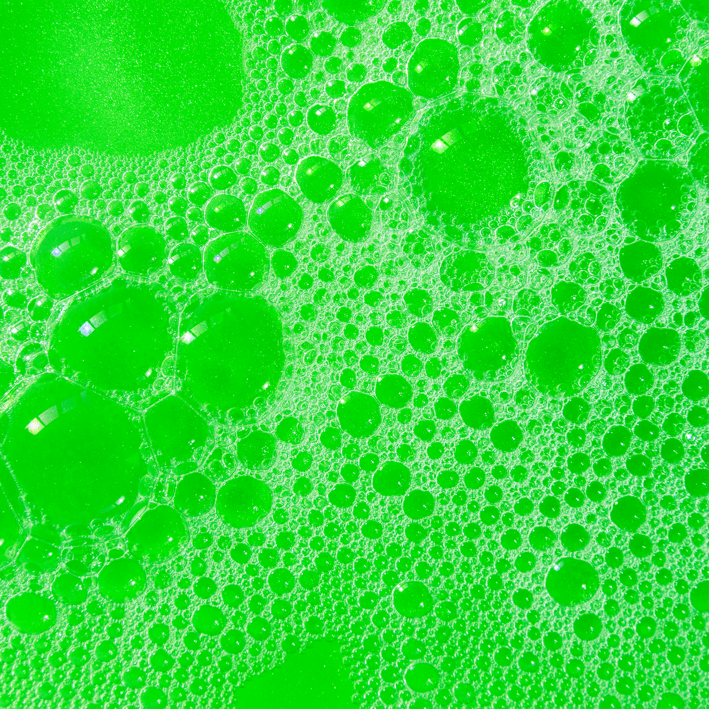 INKEE - Bubble Bath Dinorex