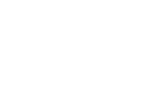 VEDES